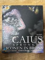 Caius Spronken – Iconen in Brons, Ophalen of Verzenden