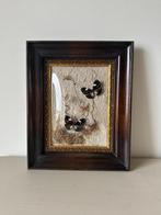 Euploea Diocletianus vlinders, Antiek en Kunst, Curiosa en Brocante, Ophalen of Verzenden