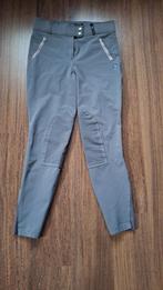 PK international sportswear rijbroek grijs maat 40, Dieren en Toebehoren, Paardrijkleding, Ophalen of Verzenden, Zo goed als nieuw
