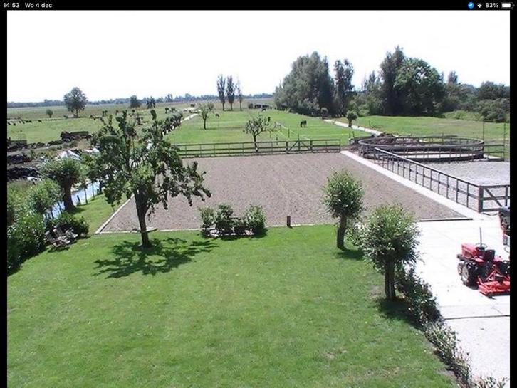 Box vrij op kleinschalige privéstal aan huis, Dieren en Toebehoren, Stalling en Weidegang, Stalling, Weidegang