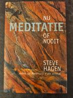 Nu Meditatie of Nooit - Steve Hagen, Meditatie of Yoga, Ophalen of Verzenden, Zo goed als nieuw, Steve Hagen