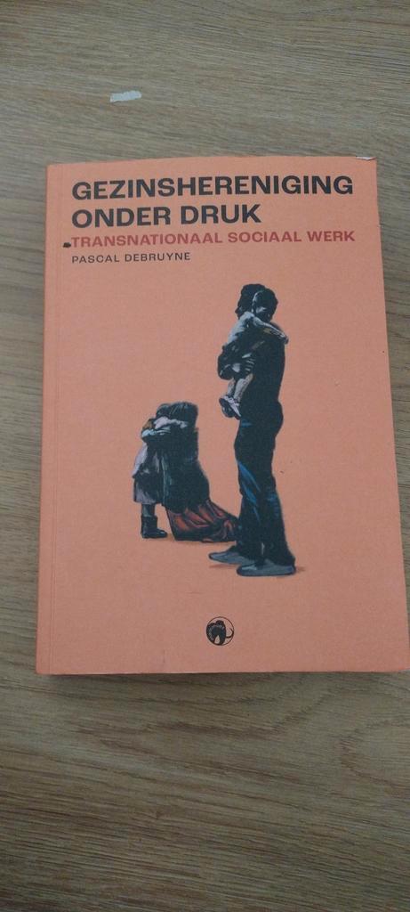 Pascal Debruyne - Gezinshereniging onder druk, Boeken, Politiek en Maatschappij, Zo goed als nieuw, Maatschappij en Samenleving