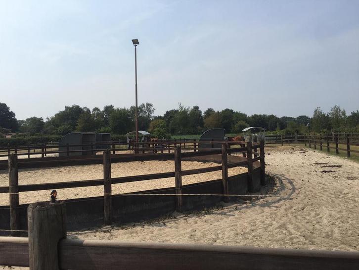 Professionele Lichtmast – ideaal voor rijbak, manege, erf, Dieren en Toebehoren, Stalling en Weidegang, Toebehoren