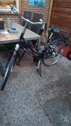 Damesfiets Pointer Horizon, Versnellingen, Ophalen, Overige merken, 53 tot 56 cm