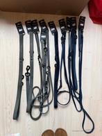 Nieuwe leren hondenriemen Jack & Vanilla  – Partij nieuwe, Nieuw, Ophalen of Verzenden, Hondenriem