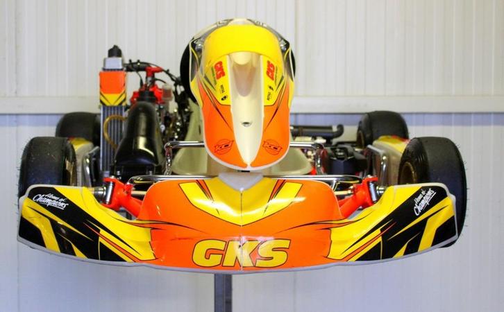 ESPRIT ROOKIE kart met Rotax Mini Max Motor, Sport en Fitness, Karting, Gebruikt, Kart, Ophalen