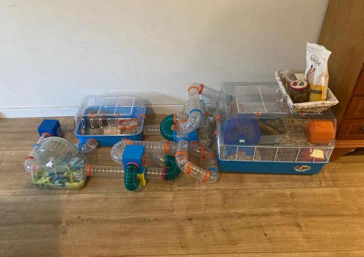 dwergknaagdieren kooi en spelletjes, Dieren en Toebehoren, Knaagdieren en Konijnen | Hokken en Kooien, Gebruikt, Kooi, Minder dan 60 cm