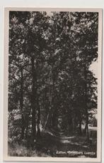 Aalten Droppers laantje, Verzamelen, Ansichtkaarten | Nederland, Verzenden, 1940 tot 1960, Gelopen, Gelderland