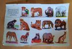 DE GRUYTER  - DIEREN OVERDRUK PLAATJES, Verzamelen, Ophalen of Verzenden, Overige typen