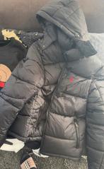 Ralph lauren polo jas (M) nieuw, Kleding | Heren, Maat 48/50 (M), Zwart, Ralph Lauren, Nieuw