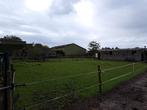 Stallen met weide te huur, Dieren en Toebehoren, Stalling en Weidegang