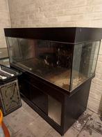 Aquarium 120 x 60 x 50, Ophalen, Gebruikt, Leeg aquarium