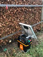 Gallagher stroom klok, Dieren en Toebehoren, Meerdere dieren, Schaap, 0 tot 2 jaar