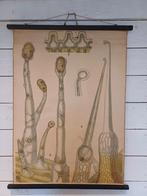 Oude schoolplaat biologie - brandharen, Ophalen of Verzenden, Natuur en Biologie