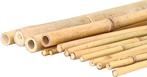 Bamboe Tonkin stokken gezocht, Doe-het-zelf en Verbouw, Hout en Planken, Gebruikt, Ophalen, Overige houtsoorten