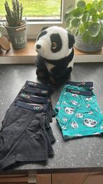 6 Dryly boxers maat 158/164, Ophalen of Verzenden, Gebruikt