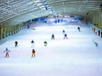 4x Snowworld dagpassen, Drie personen of meer, Overige soorten, Overige typen