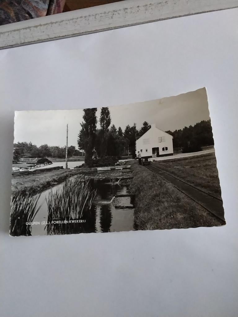 GULPEN. Z.L.   1972 FORELLENKWEKERIJ, Ophalen of Verzenden, 1960 tot 1980, Limburg