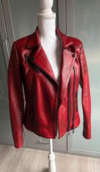 Dames , echt leer slim fit rood bikerjack maat S/M Nieuw!!, Nieuw, Jasje, Rood, Ophalen