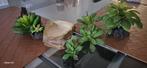 Terrarium accessoires. Kunstbloemen, schaal voor kalk en zan, Dieren en Toebehoren, Ophalen of Verzenden