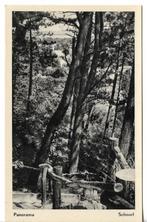 Schoorl - Panorama - 25213, Verzamelen, Ophalen of Verzenden, 1940 tot 1960, Ongelopen, Noord-Holland