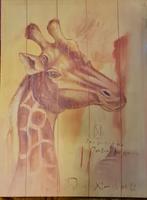 Joadoor Giraffe Canvas print, Print, Zo goed als nieuw, 50 tot 75 cm, Ophalen
