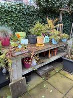 Steigerhouten tuintafel, Ophalen, Gebruikt, Rechthoekig, Hout