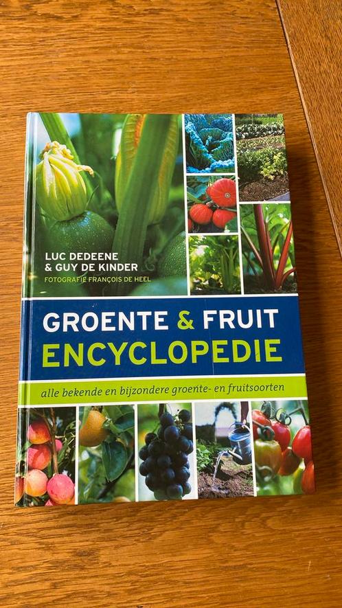 Guy de Kinder - Groente- en fruitencyclopedie, Boeken, Wonen en Tuinieren, Zo goed als nieuw, Ophalen of Verzenden