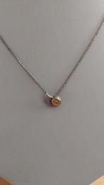 vintage zilveren ketting met zilveren hanger nautilus schelp, Ophalen of Verzenden, Zilver, Hanger, Verguld