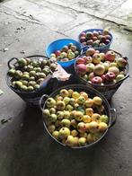 Appels en peren, Ophalen