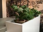 MODERNE SHOWROOM KEUKEN MET KOOKEILAND EN KRUIDENTUIN, Ophalen, Overige typen, Met kookeiland, Graniet of Steen