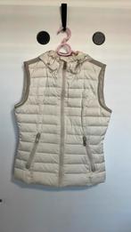 Goldbergh bodywarmer S, Ophalen of Verzenden, Gedragen