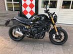 Benelli LEONCINO 800 ABS (bj 2025), Bedrijf, 754 cc, Naked bike