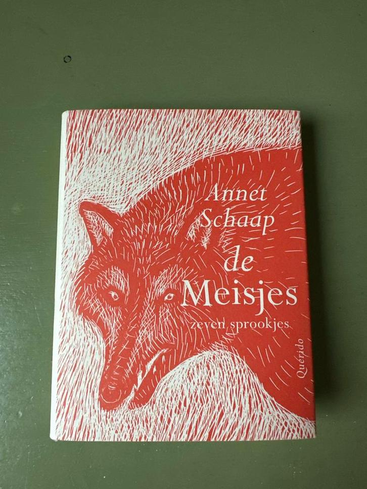 De Meisjes - Annet Schaap, Boeken, Romans, Zo goed als nieuw, Nederland, Ophalen of Verzenden