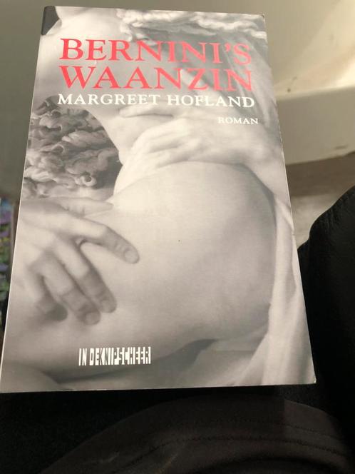 Margreet Hofland - Bernini's waanzin, Boeken, Literatuur, Zo goed als nieuw, Nederland, Ophalen of Verzenden