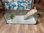 Schildpad aquarium, Dieren en Toebehoren, Vissen | Aquaria en Toebehoren, Ophalen, Gebruikt, Overige typen
