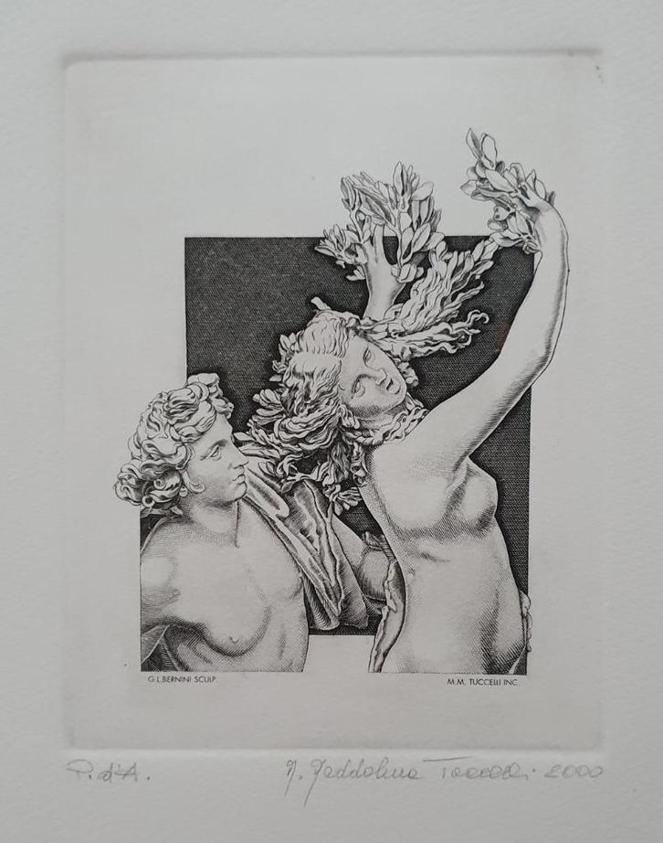 Exlibris /vrije gr. M Tucelli,G.Bernini sculp. Apollo Daphne, Antiek en Kunst, Kunst | Etsen en Gravures, Verzenden
