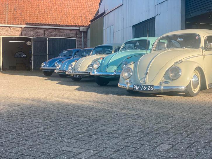 Volkswagen Kever, Ovaal, Bril, ghia, GTI etc gezocht ✅, Auto's, Volkswagen, Bedrijf, Beetle (Kever), Benzine, Sedan, Handgeschakeld