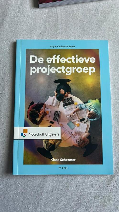 Klaas Schermer - De effectieve projectgroep, Boeken, Schoolboeken, Zo goed als nieuw, Nederlands, Overige niveaus, Ophalen of Verzenden
