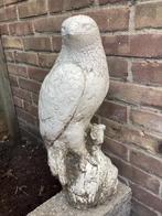 Tuinbeeld steen roofvogel havik arend valk, Ophalen, Gebruikt, Steen, Dierenbeeld
