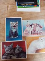 4 voor het kind kaarten van poezen., Verzamelen, Ansichtkaarten | Dieren, Ophalen of Verzenden, Hond of Kat
