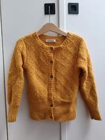 Heerlijk zacht alpaca wollen vest Aymara 104 geel, Kinderen en Baby's, Kinderkleding | Maat 104, Gebruikt, Jongen of Meisje, Trui of Vest