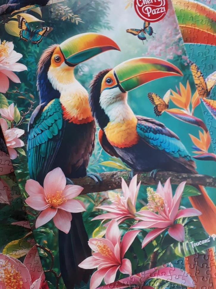CHERRY PAZZI puzzel 🌺 Toucans' Paradise 1000 stukjes, Hobby en Vrije tijd, Denksport en Puzzels, Zo goed als nieuw, Legpuzzel