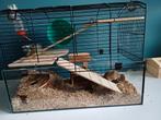 Twee lieve broertjes gerbil, Dieren en Toebehoren, Ophalen of Verzenden, Zo goed als nieuw, Hok