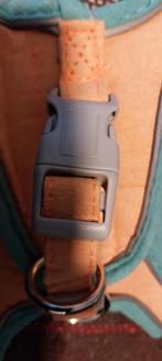 Katten tuigje  maat L oranje met groen, Dieren en Toebehoren, Katten-accessoires, Ophalen of Verzenden, Nieuw