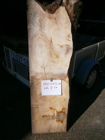 schaaldelen hout droog voor tafel eiken noten iep beuk