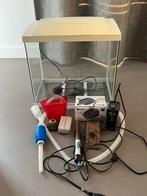 Compleet tropisch aquarium, Ophalen, Gebruikt, Leeg aquarium
