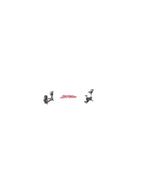 Life Fitness Cardio set | Crosstrainer | Fiets