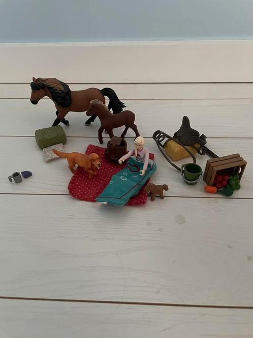 Schleich Horse Club pony setje, Spelcomputers en Games, Games | Overige, Zo goed als nieuw, 1 speler, Vanaf 3 jaar, Ophalen of Verzenden
