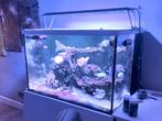 Maxspect RSX 200 Zeeaquarium verlichting, Dieren en Toebehoren, Vissen | Aquaria en Toebehoren, Ophalen, Gebruikt, Verlichting of Verwarming